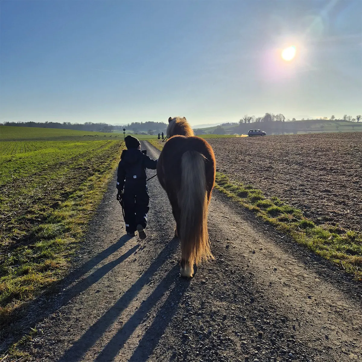 Impressionen 6