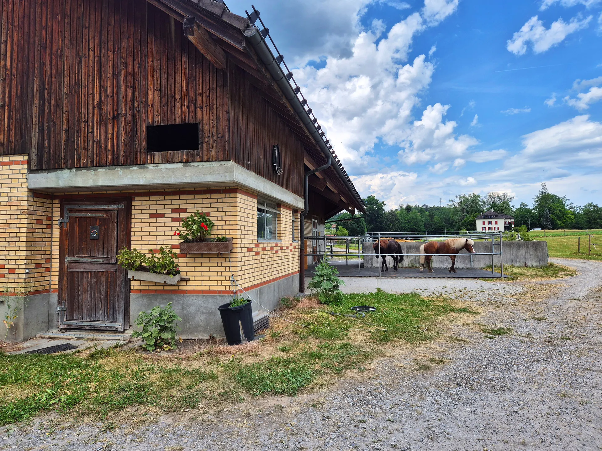 Pferdehof Cham, Grobenmoos 1 – Standort der pferdegestützten Therapie im Kanton Zug